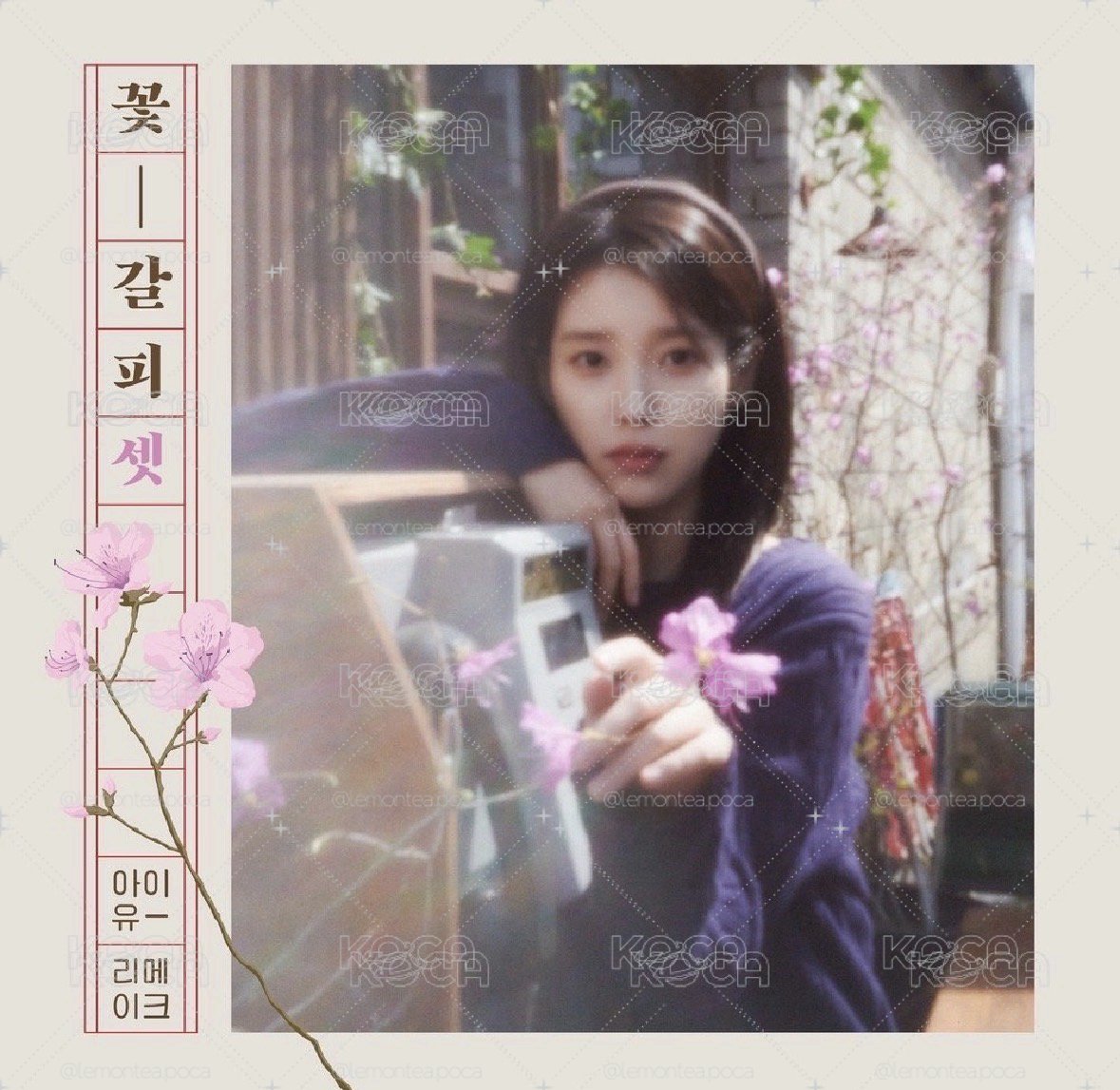 IU 花書籤全專/CDP小卡 
