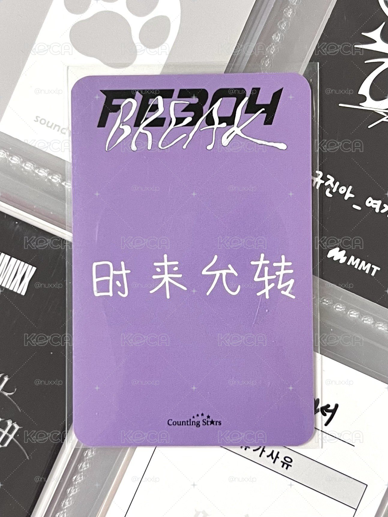 NMIXX 蛋撻薛 中背