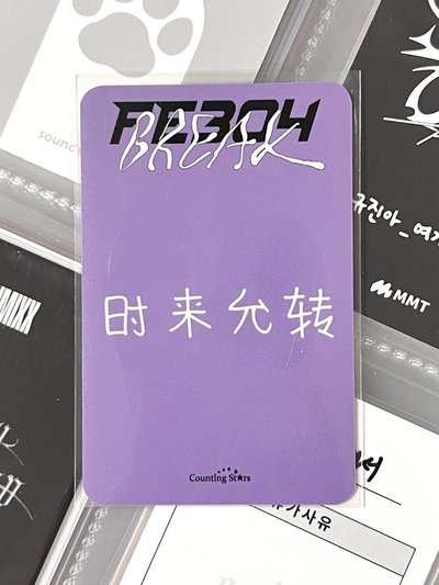 NMIXX 蛋撻薛 中背