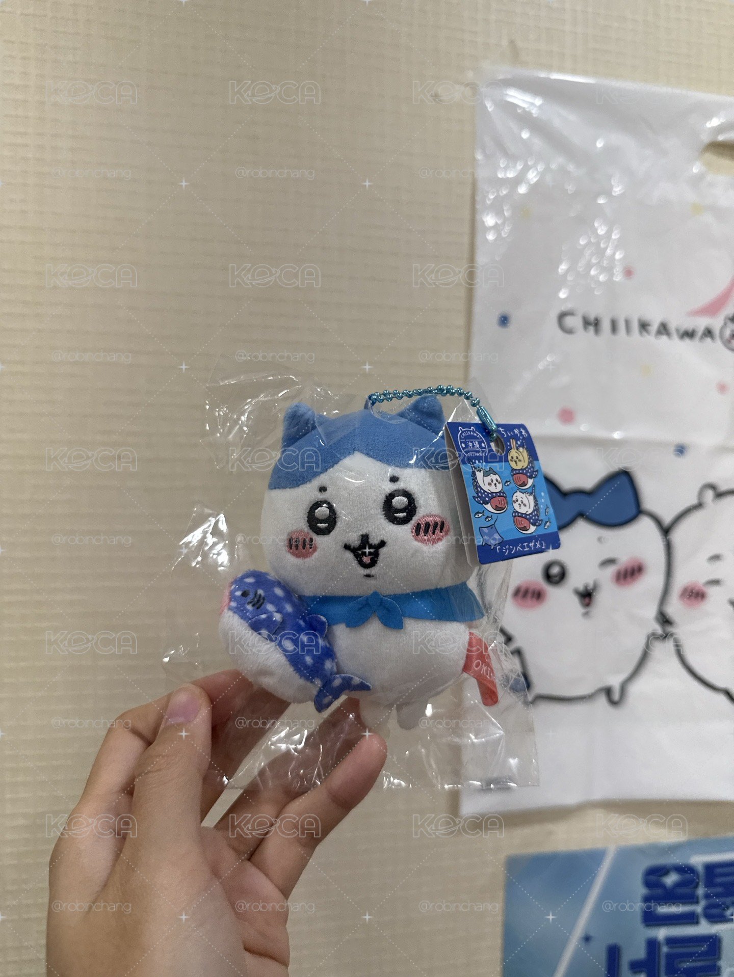 沖繩限定 小八鯨鯊