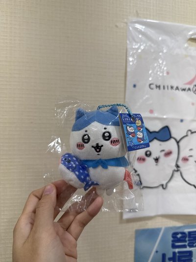 沖繩限定 小八鯨鯊