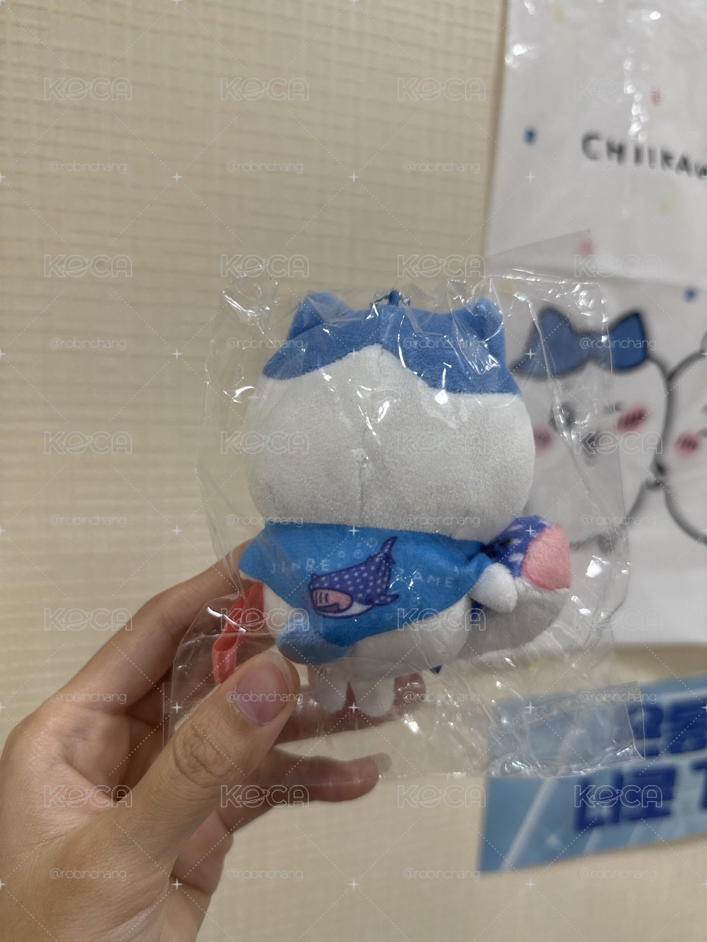沖繩限定 小八鯨鯊