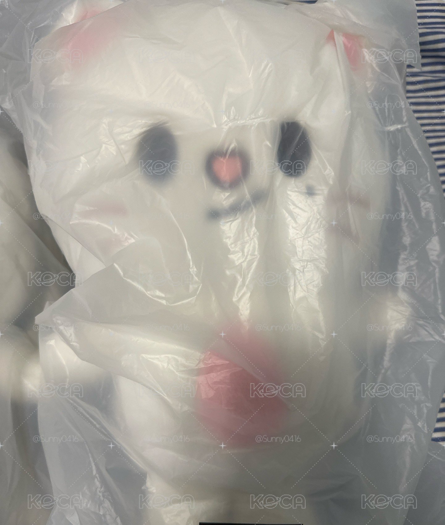 辰 後背包