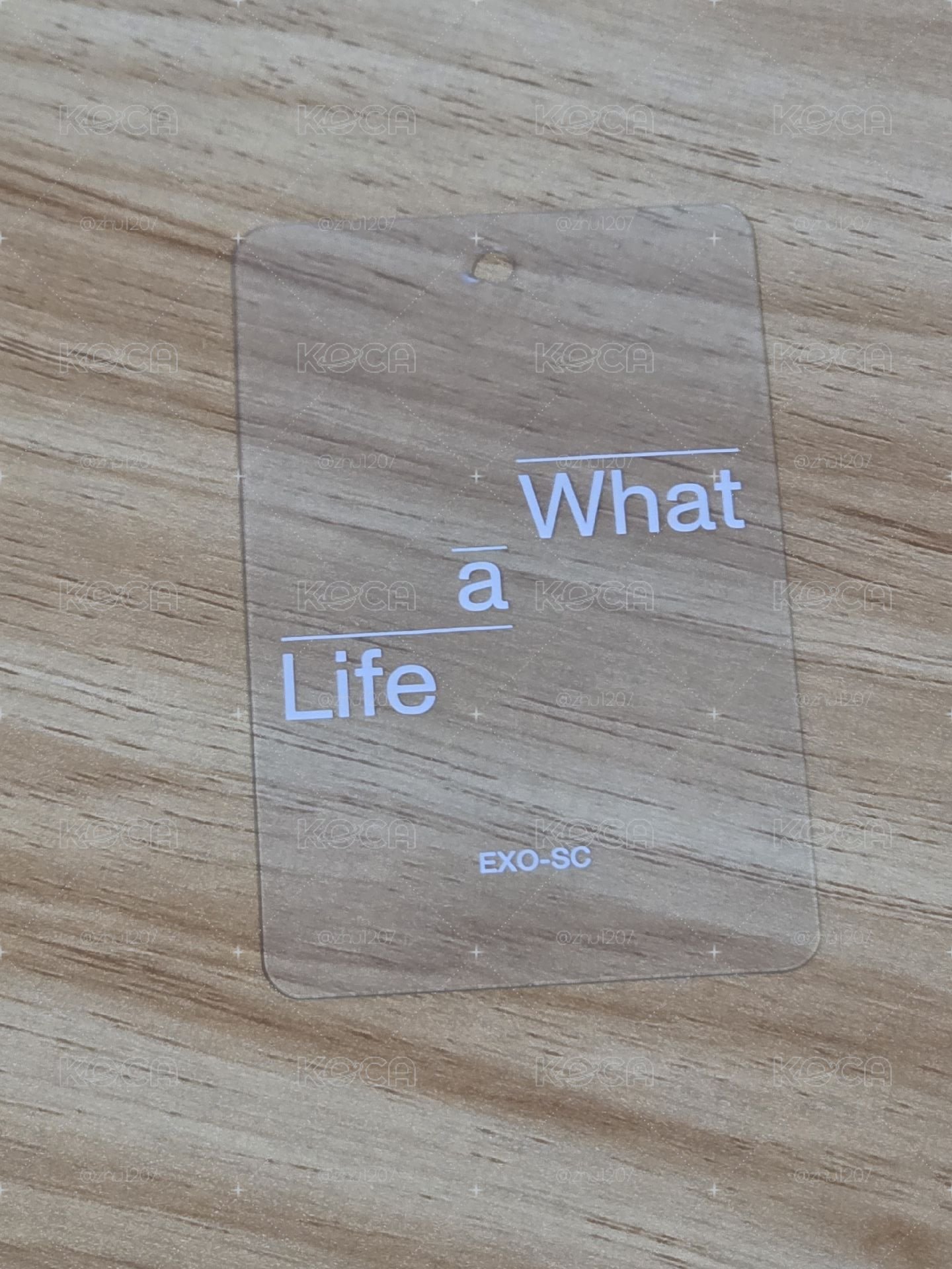 燦烈 EXO-SC What a Life 專輯卡 吊牌