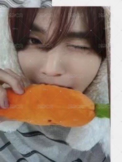 胡蘿蔔辰 兔毯辰