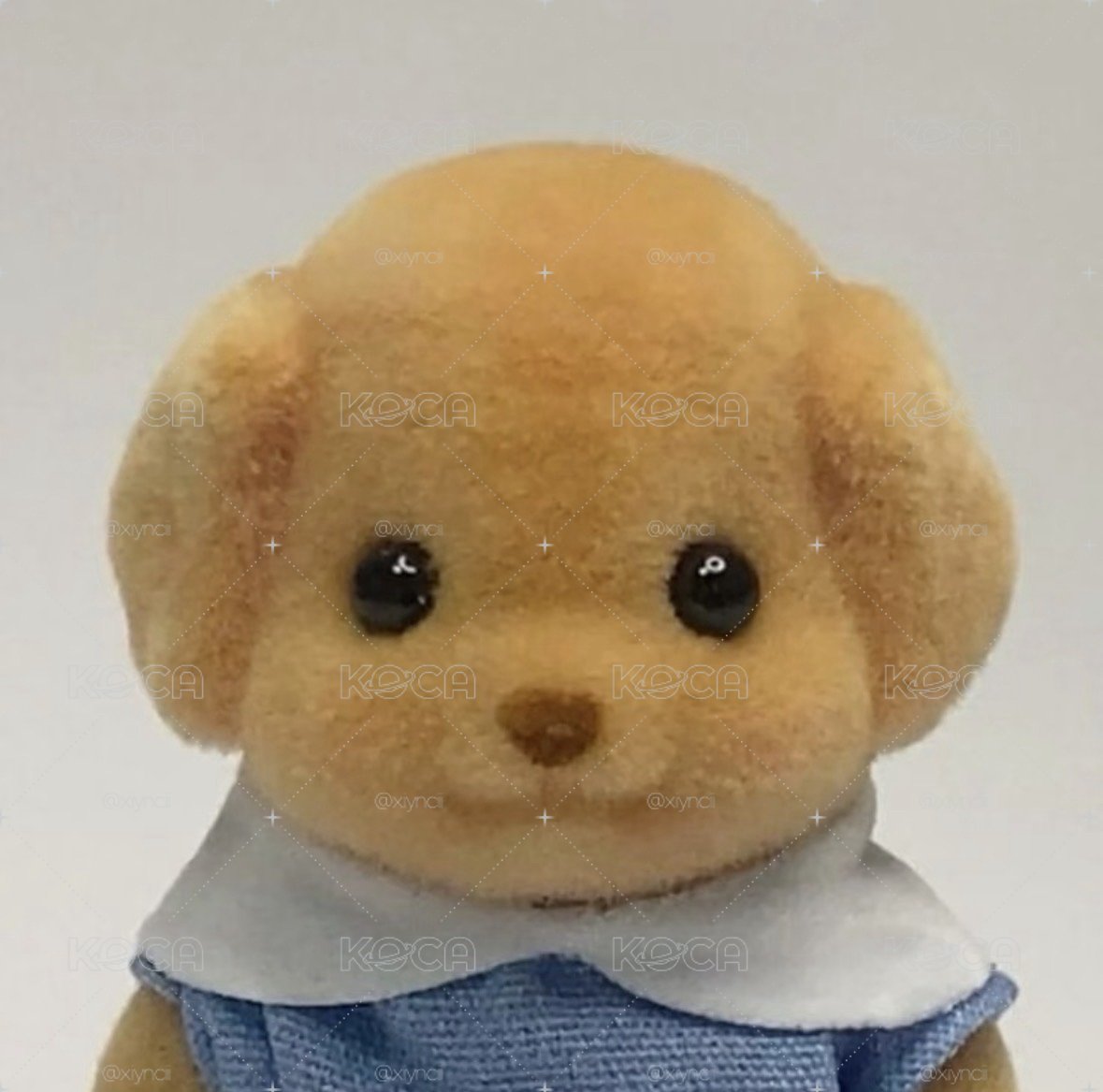 小卡福袋