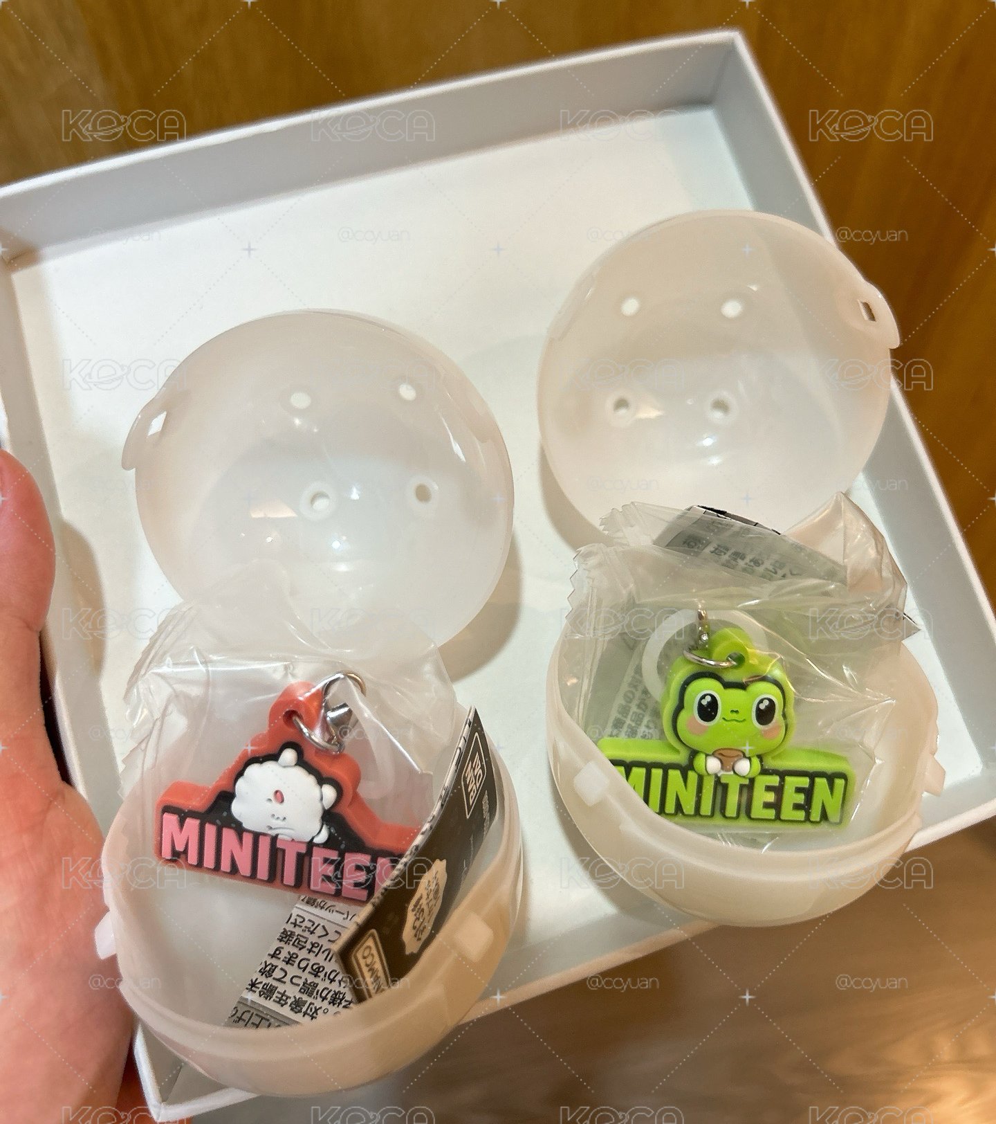 萬代Miniteen扭蛋