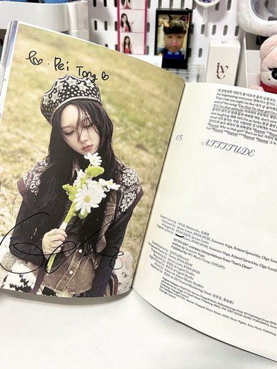 芙盤