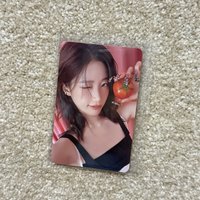 中文卡背葉