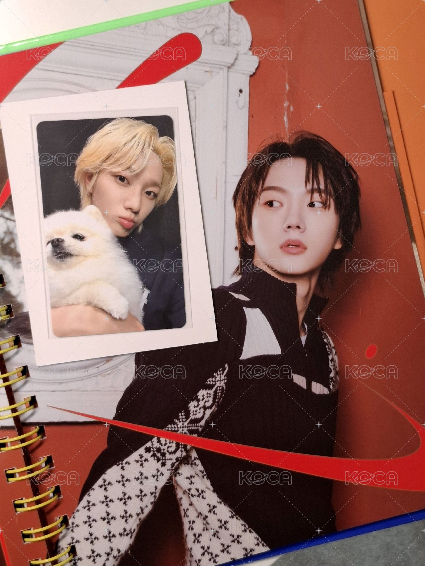 黑起🐈🐈‍⬛