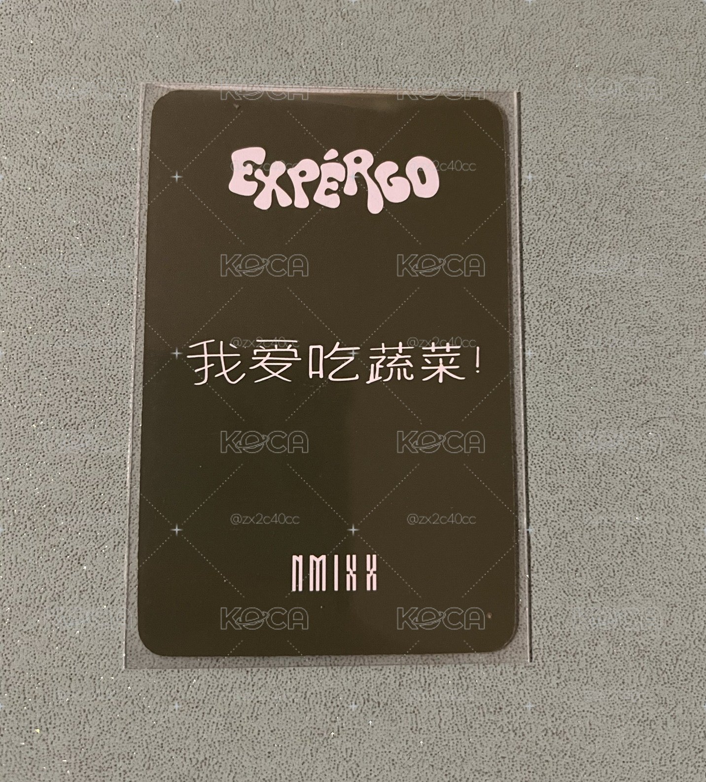 expergo 星河 中背：我愛吃蔬菜！