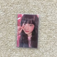 塔店寶寶採