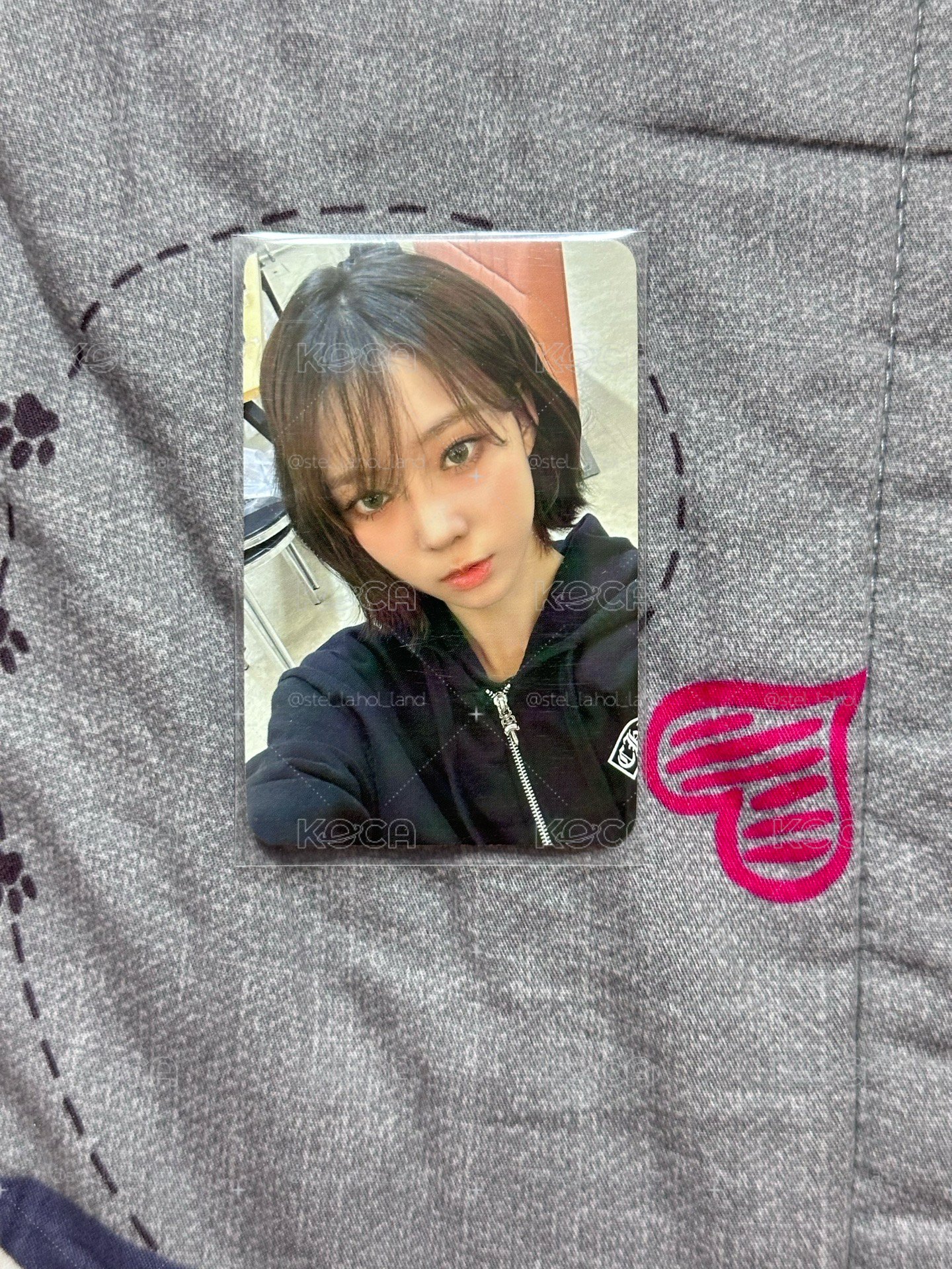 MY WORLD am 特典卡 預售冬🩷 