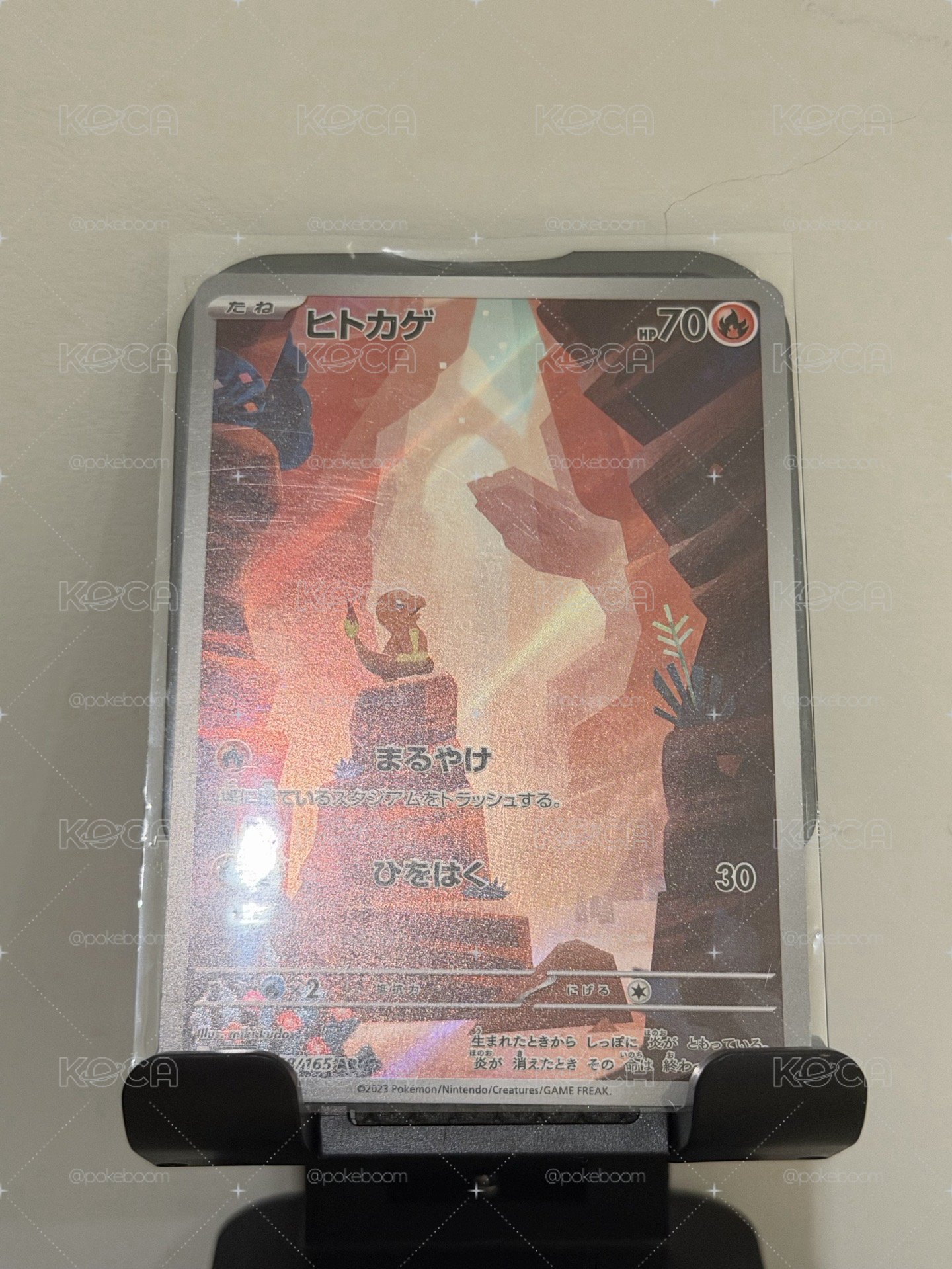 151小火龍