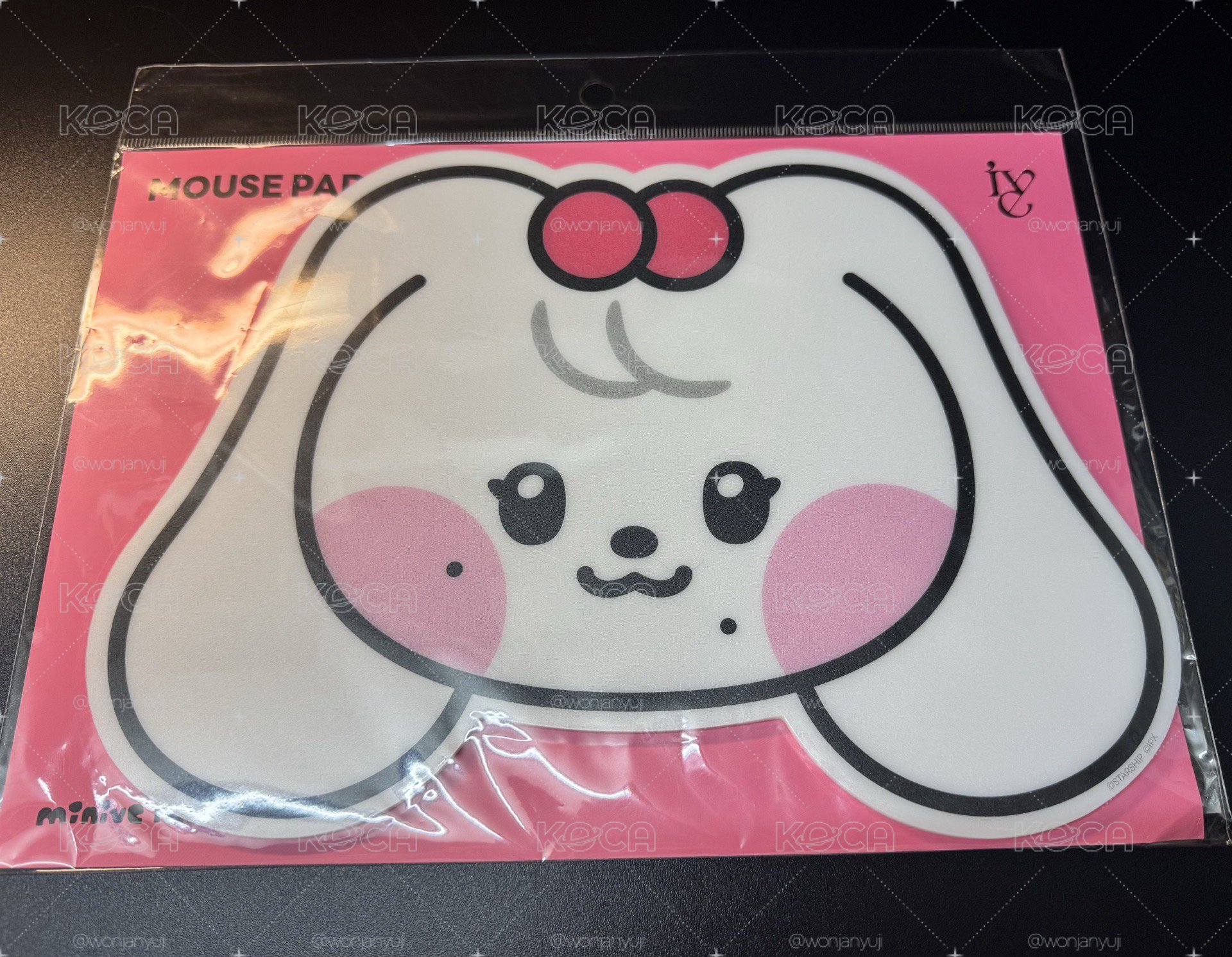 LINE FRIENDS快閃 切哩滑鼠墊 