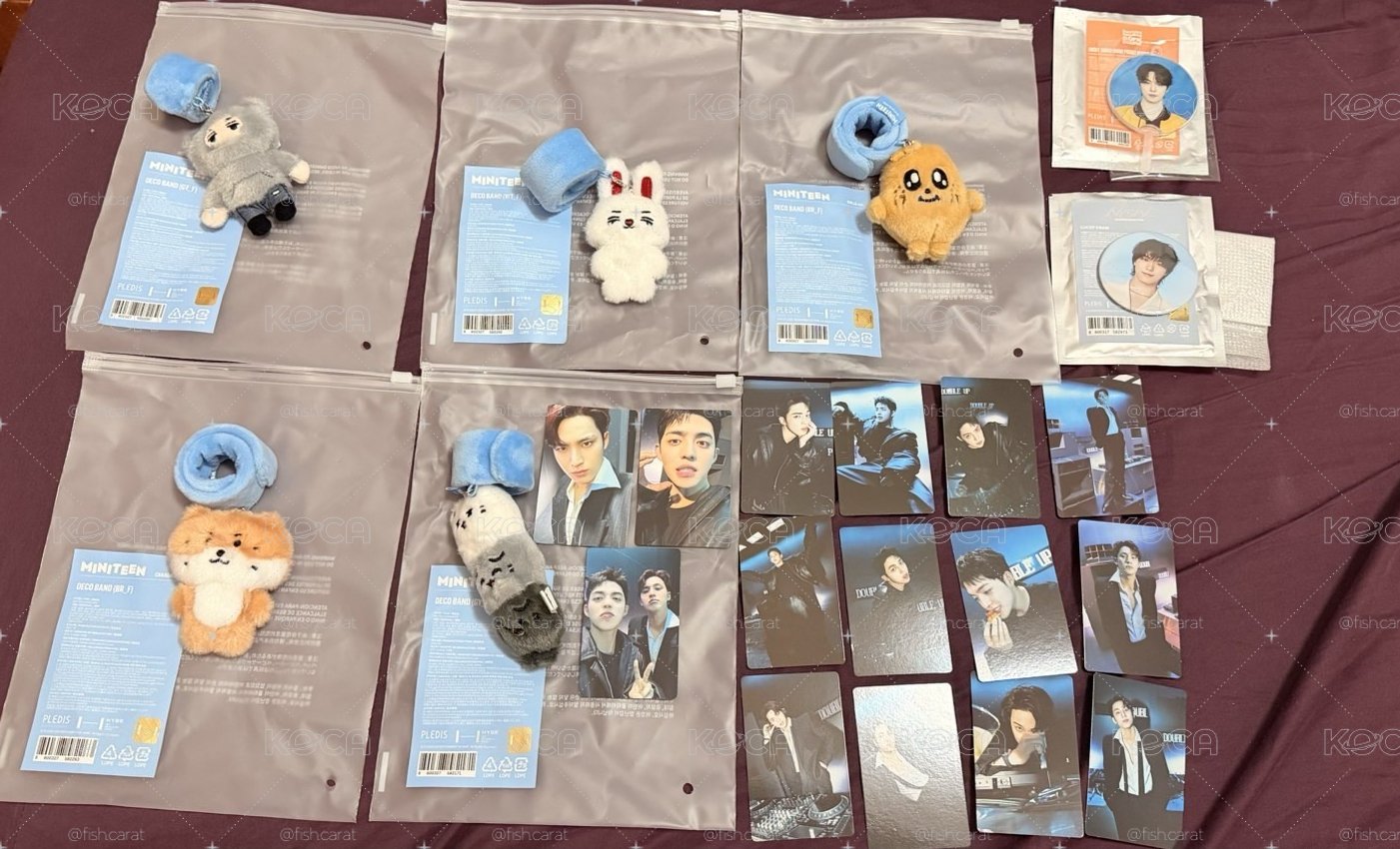 Svt 手燈環 奎俊率