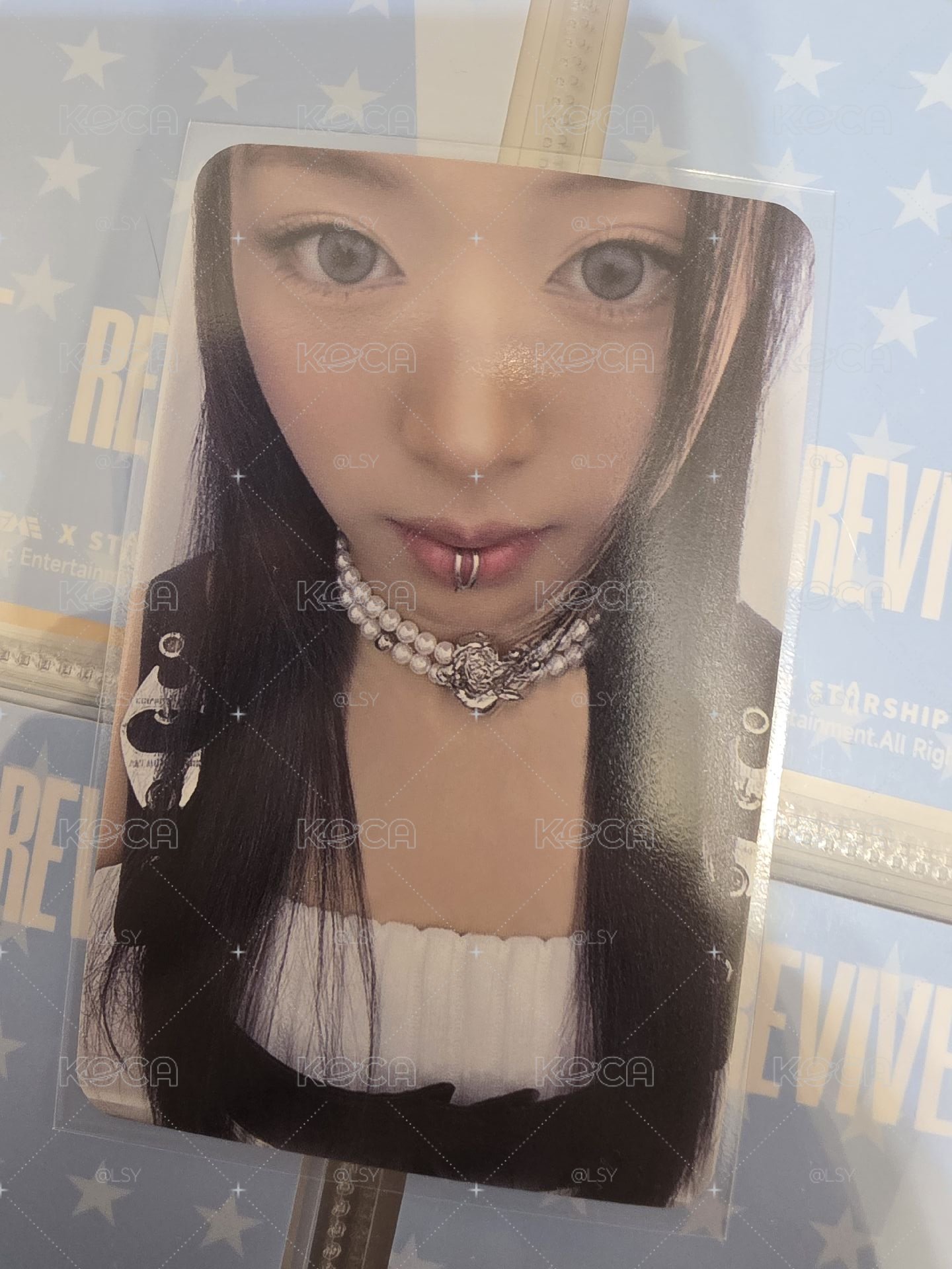 mmt大臉賢