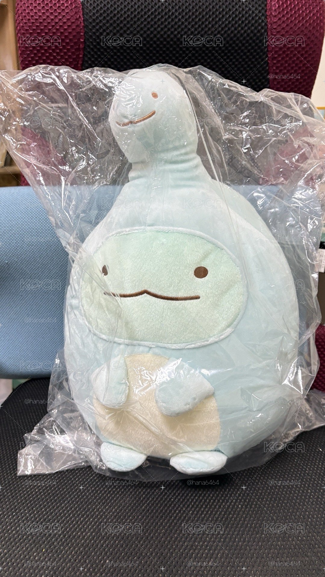 角落生物蜥蜴一番賞娃37*25