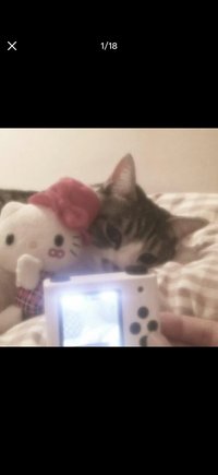 隨緣出卡中