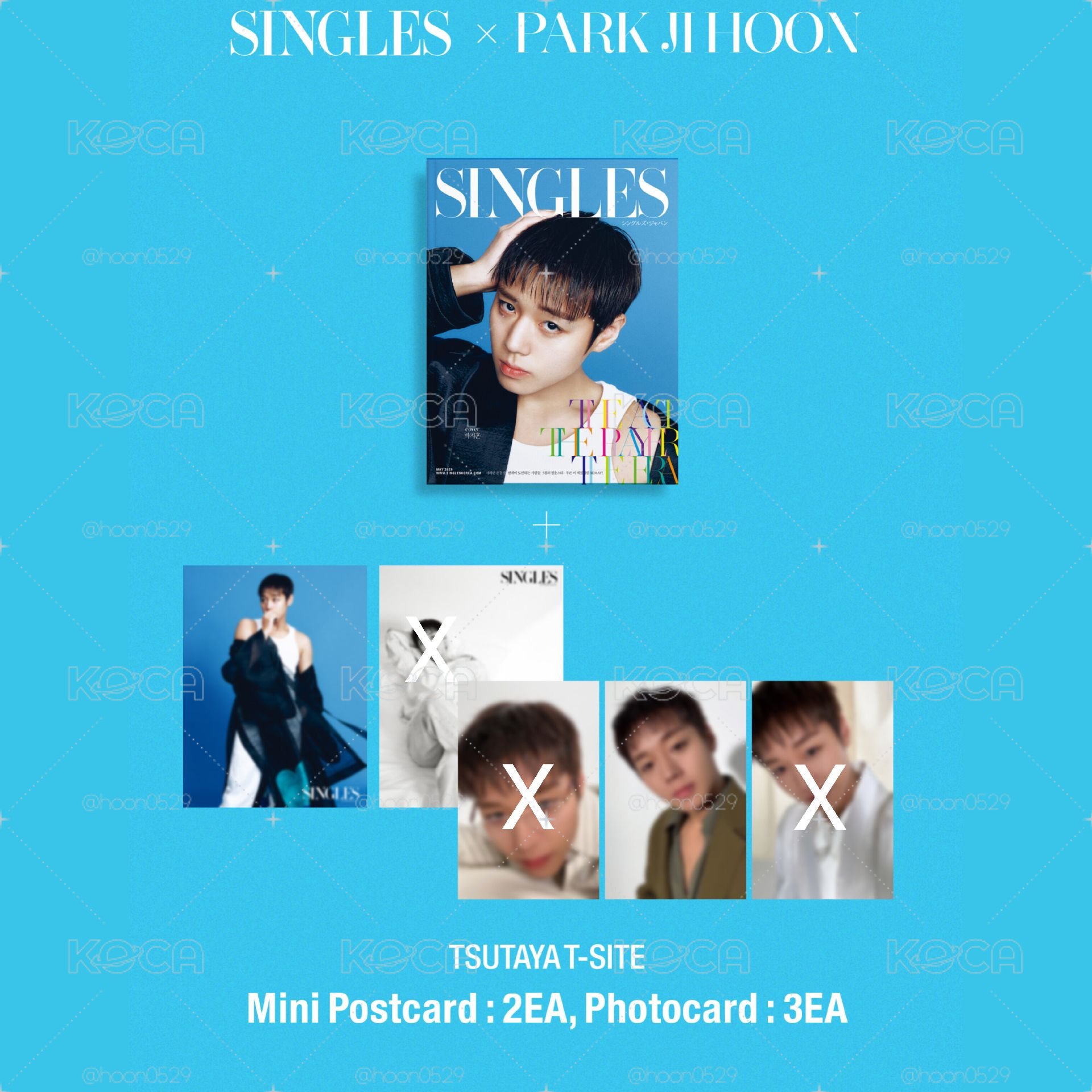 SINGLES JAPAN VOL.17 雜誌 明信片 小卡