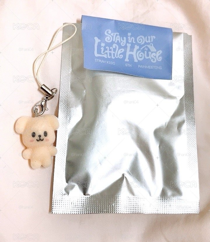 SKZ6期飯咪植絨吊飾-玟🐶