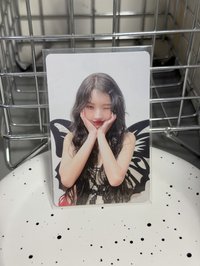蝴蝶