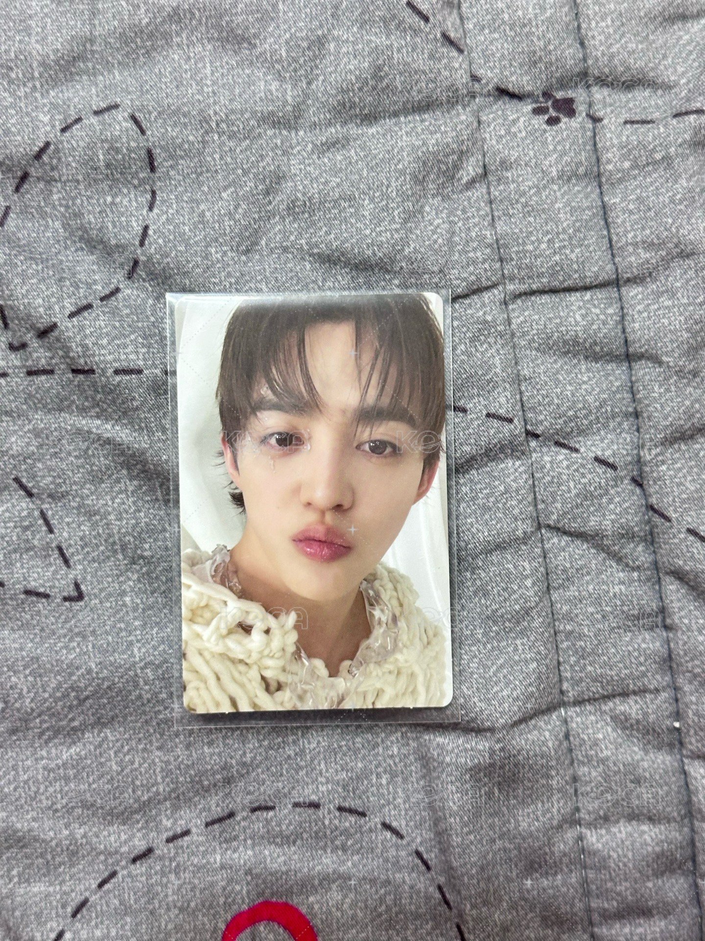 🩵scoups嘟嘴🩵