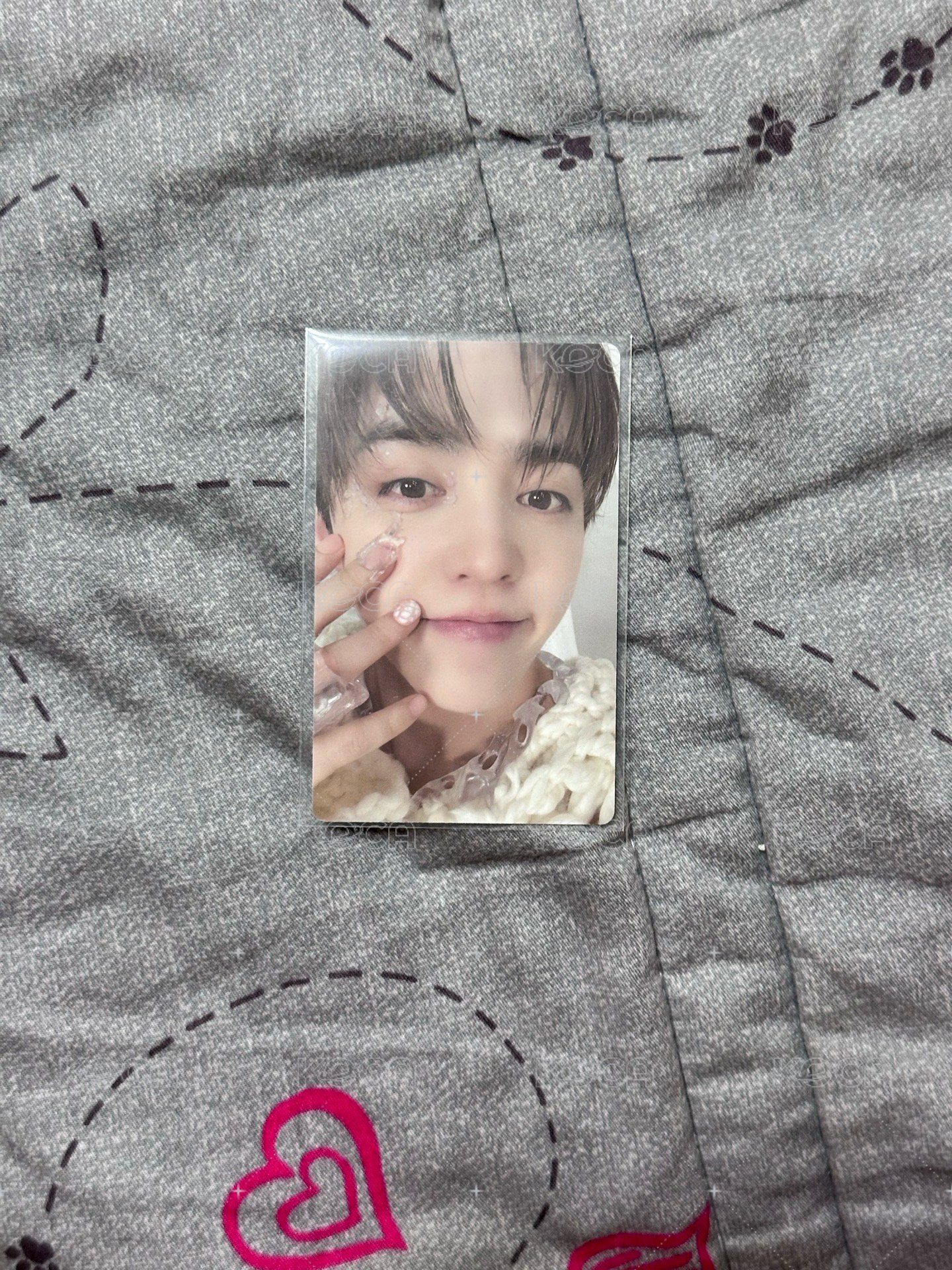 🩷scoups貼臉🩷