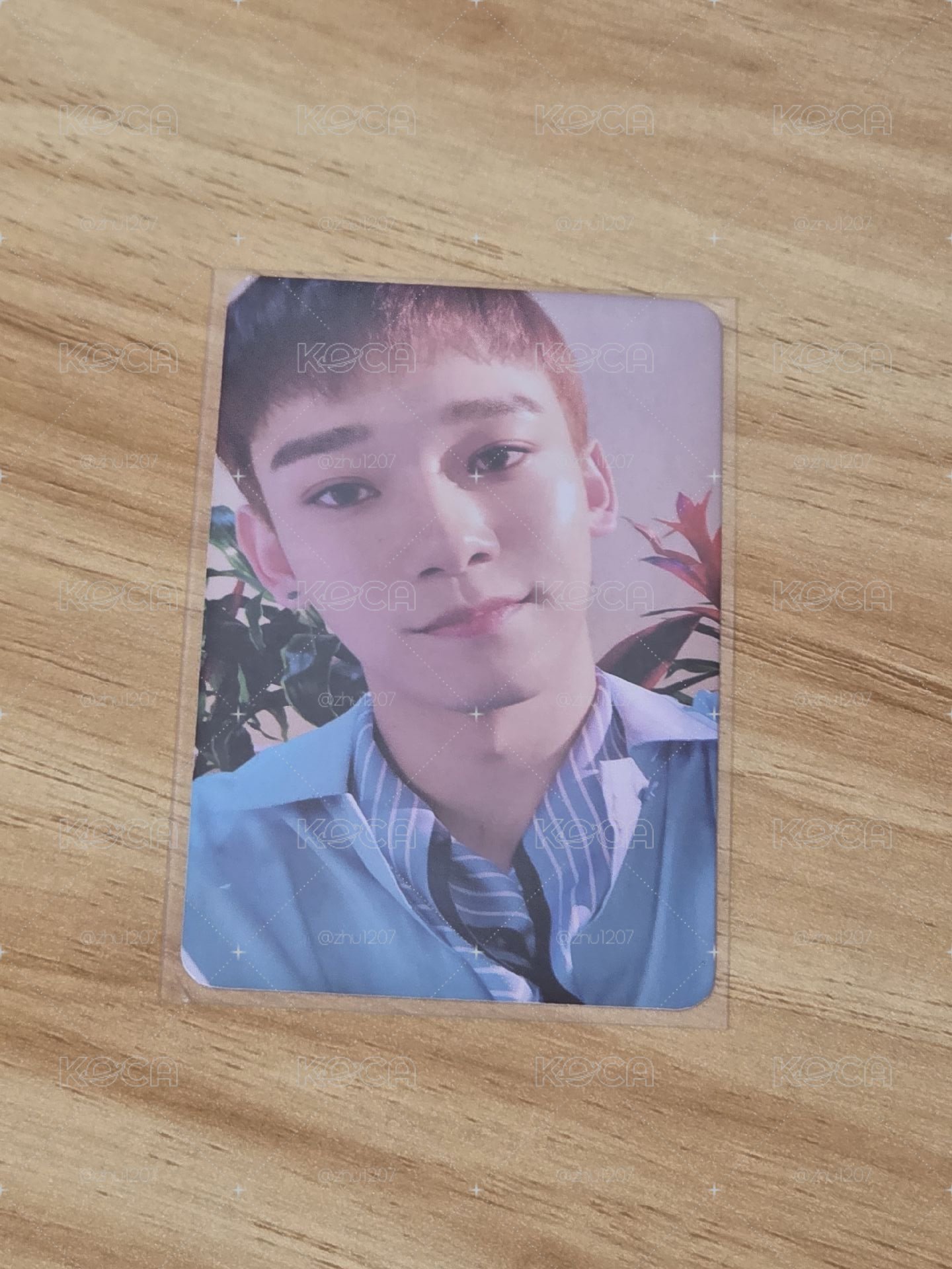 鍾大 EXO EXIST KMS 中文卡背 特典卡 & EXO-CBX Blooming Days 專輯卡