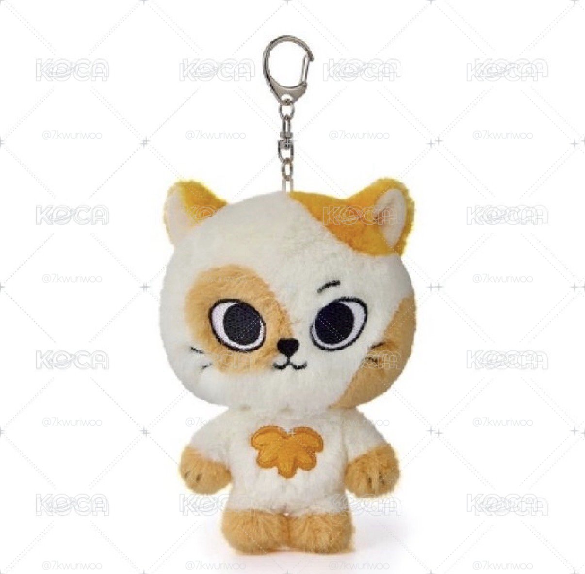 二代貓比