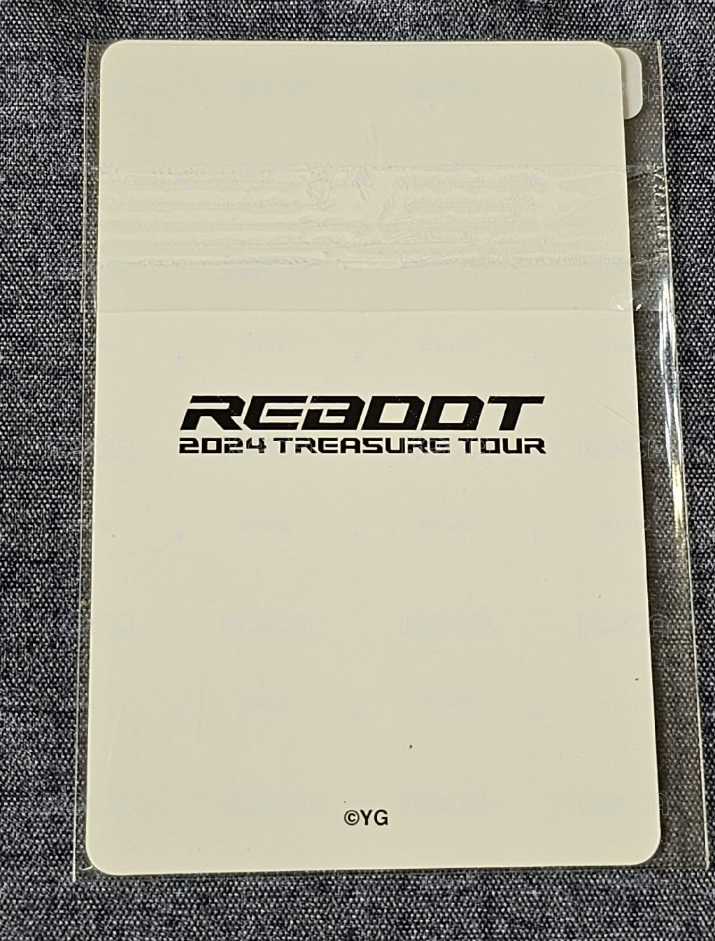 2024 TREASURE RELAY TOUR [REBOOT] in ASIA PARK JEONGWOO 🐺