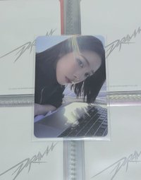 電腦柚