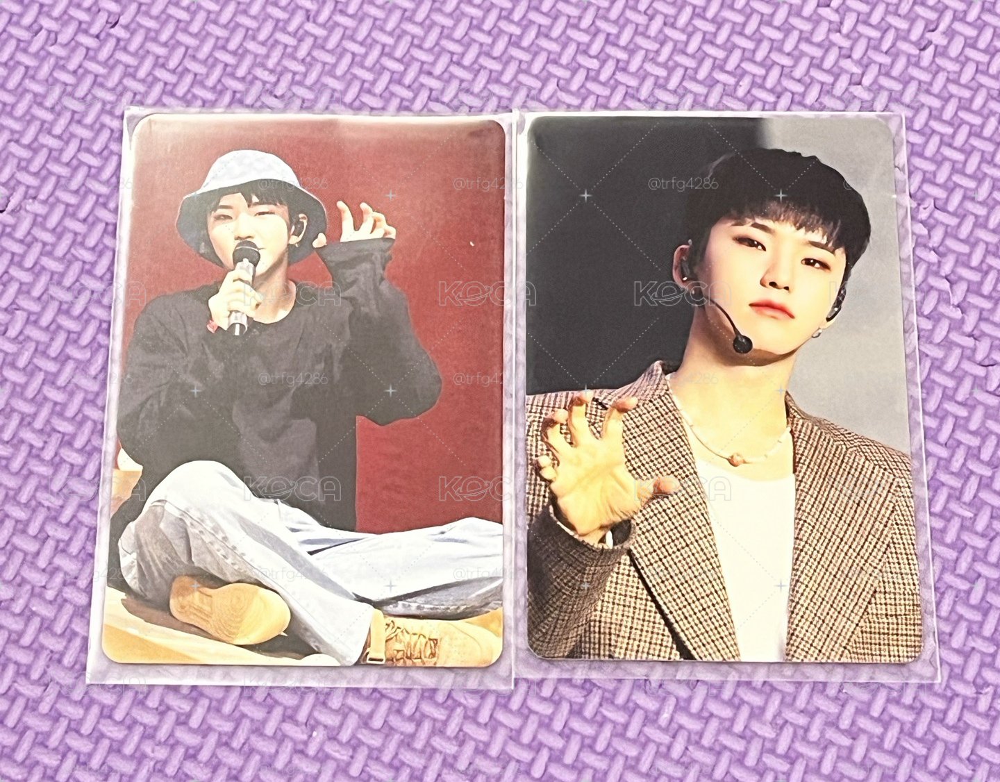 POL 演唱會 DVD / CD 卡 日巡DVD 榮
