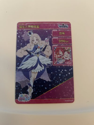 珠希羽毛大賽造型