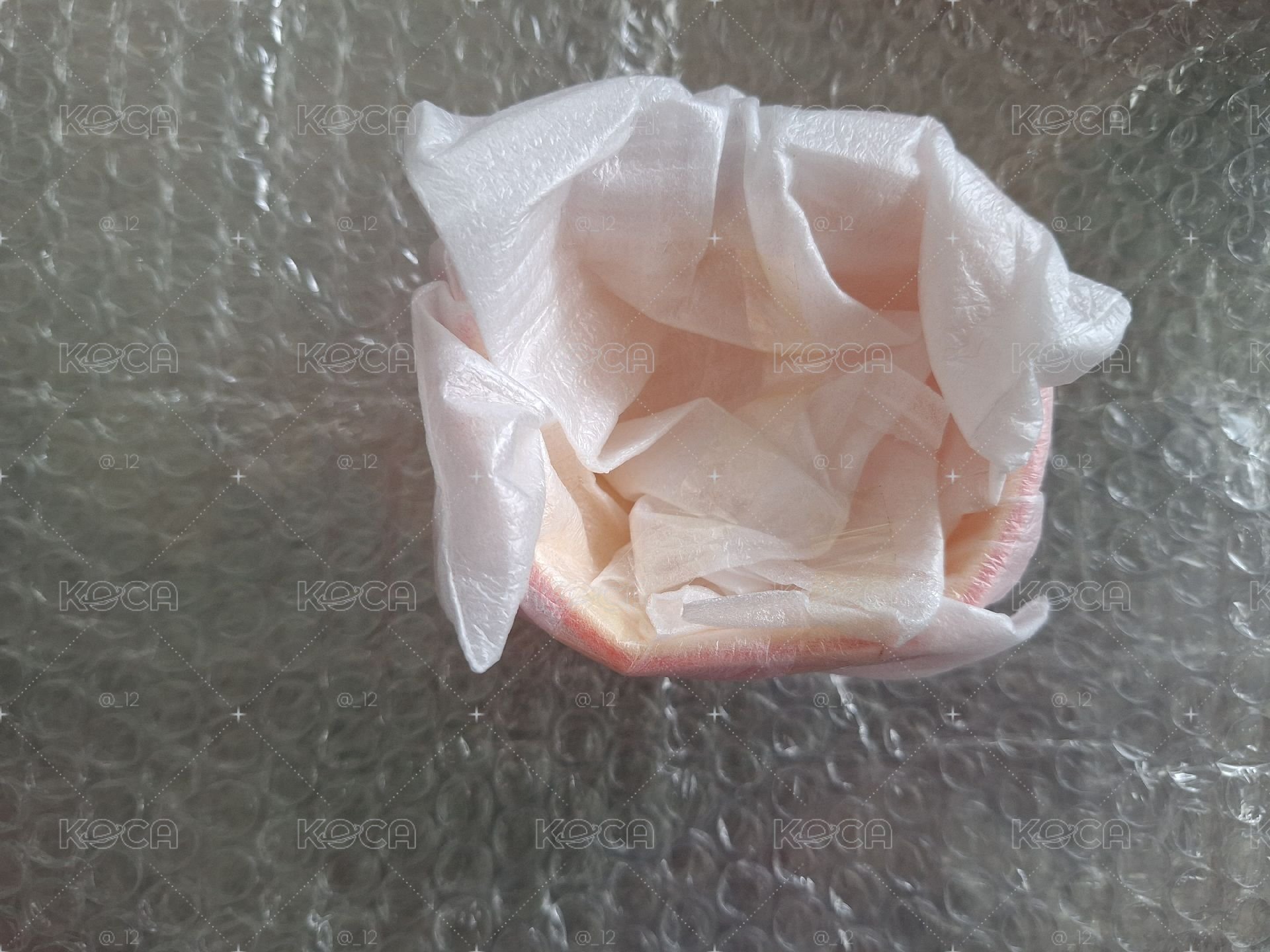 僅擺拍