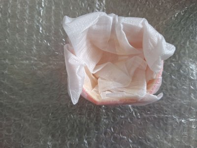 僅擺拍