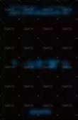 迷五 yzy 8.0 簽售卡  背面