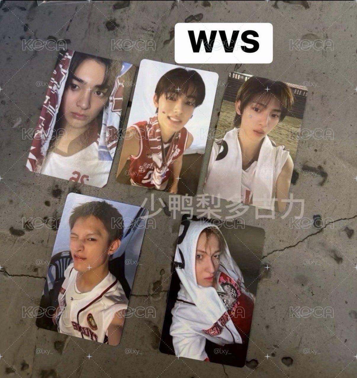 迷二 四通 wvs（線上）