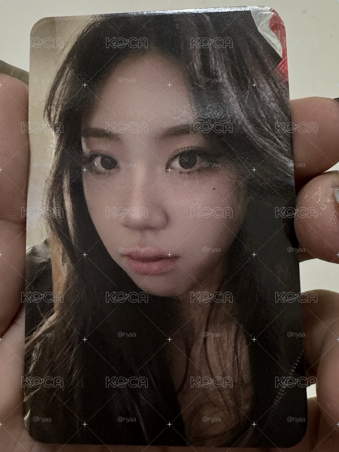 李泳知2026櫻花季小卡