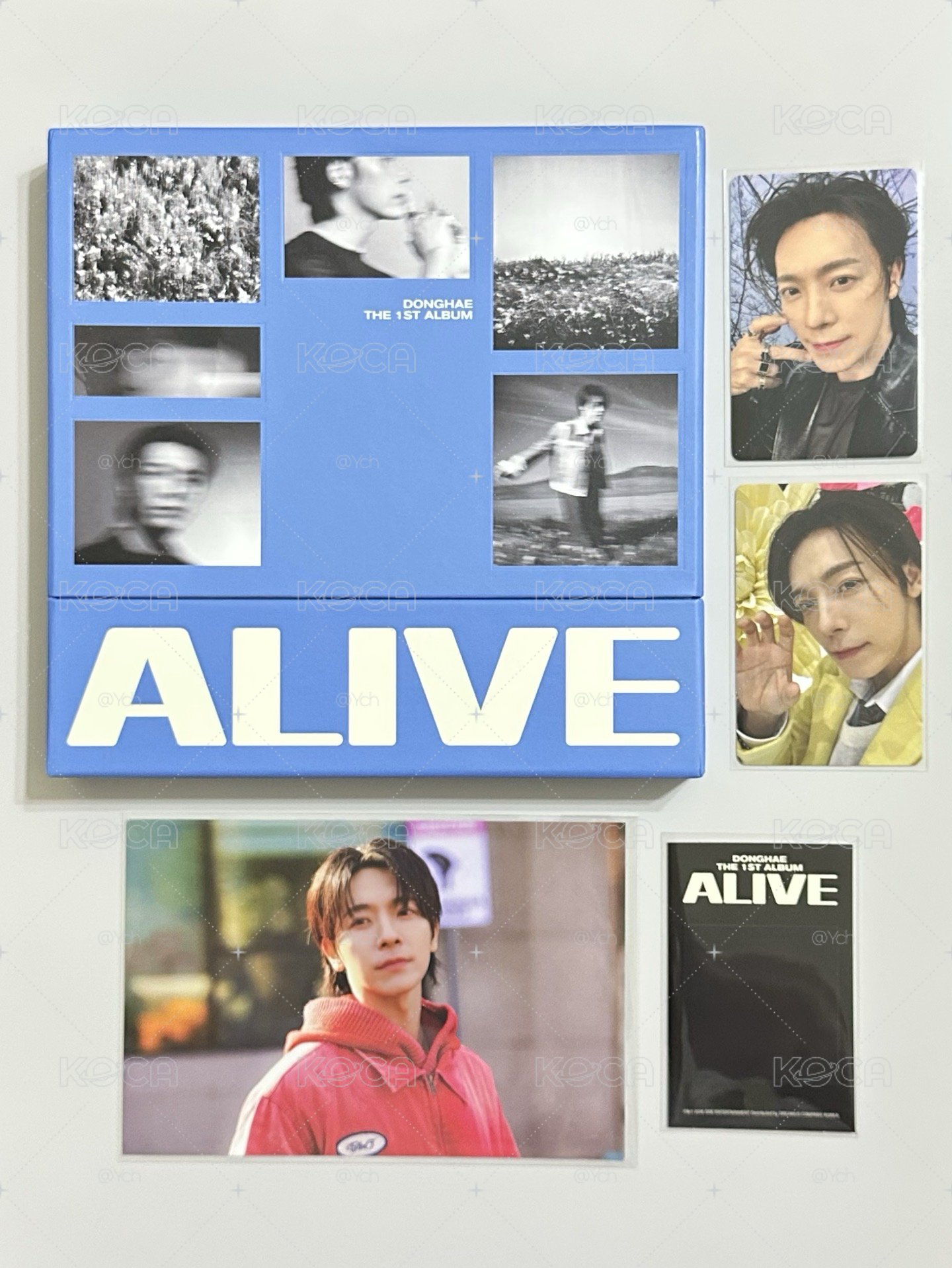 東海 ALIVE 🐯