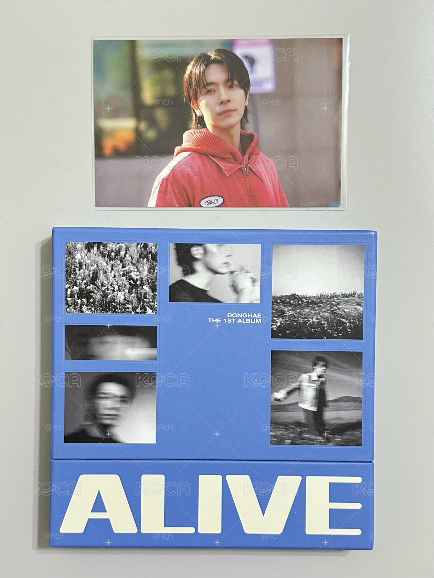 東海 ALIVE 🐯