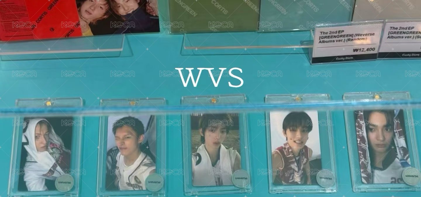wvs 凡