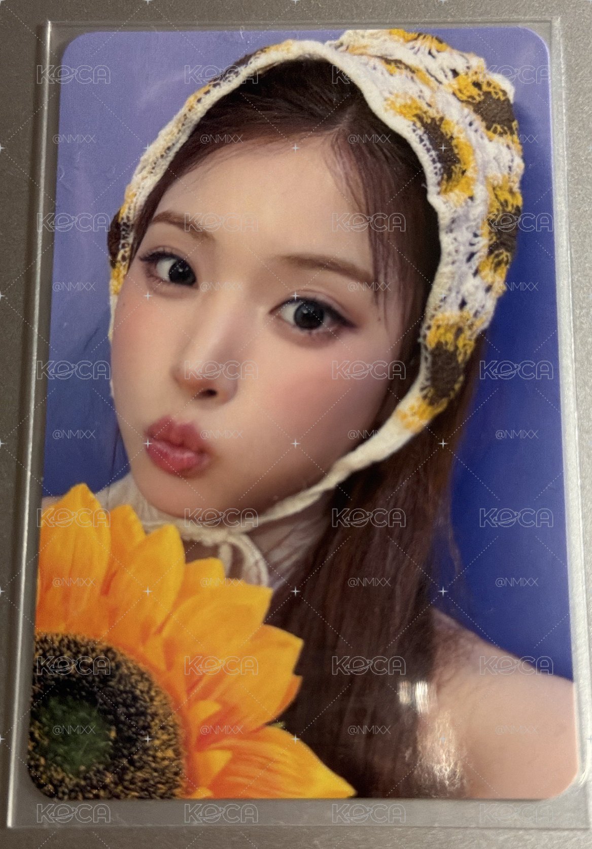 🍀ms 向日葵友