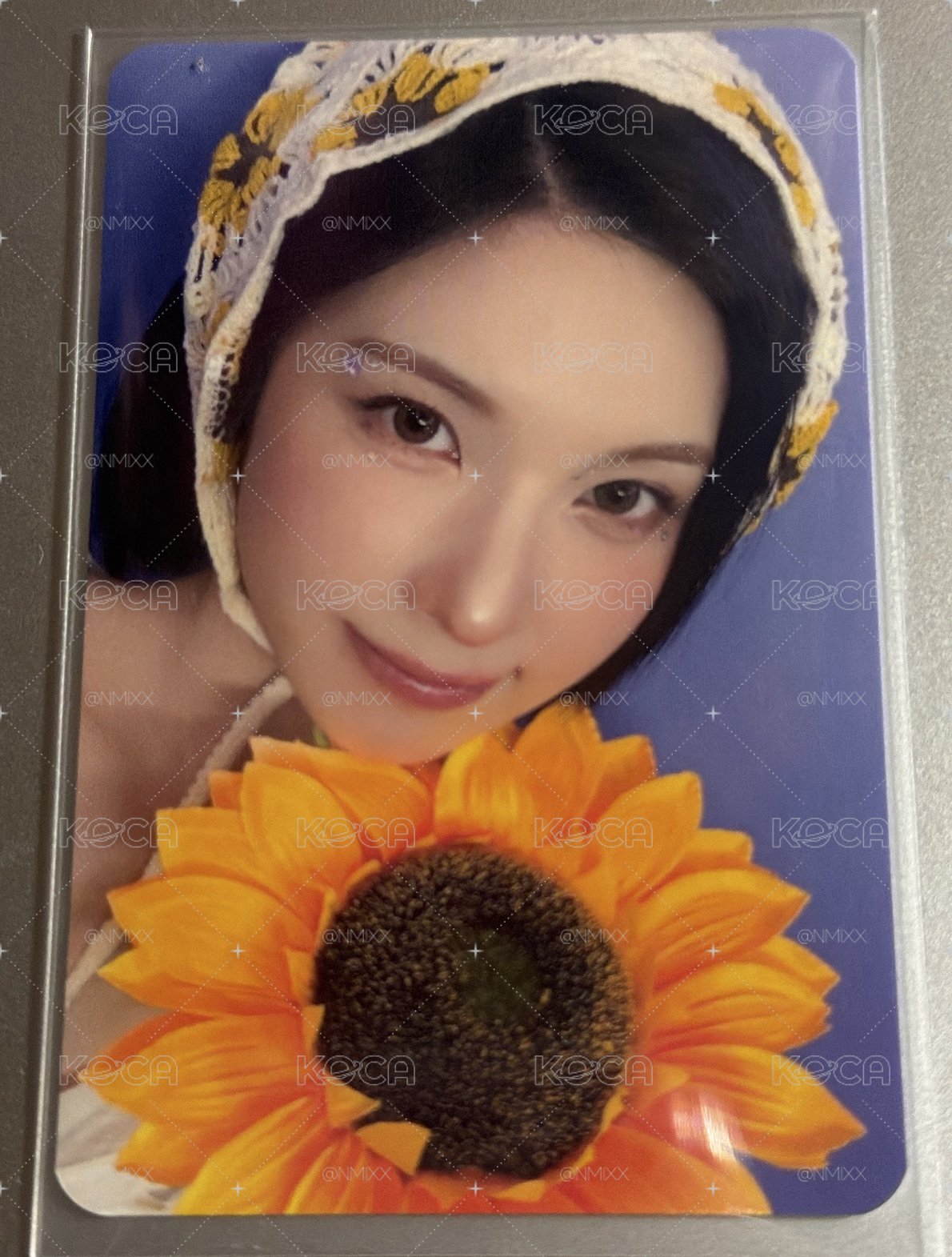 🍀向日葵裴