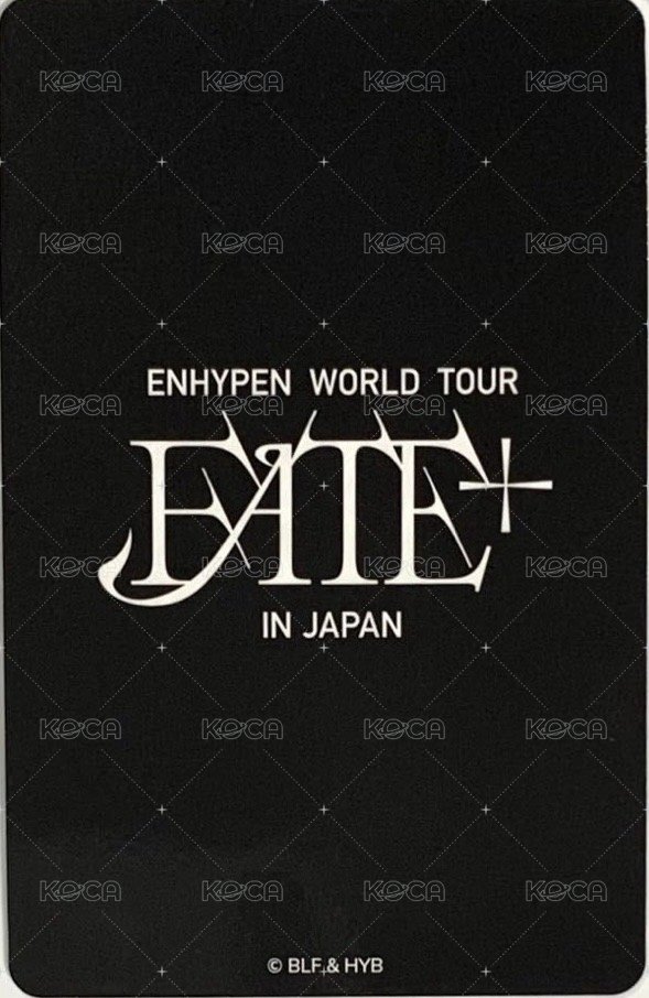FATE+ 日巡 滿額卡  背面