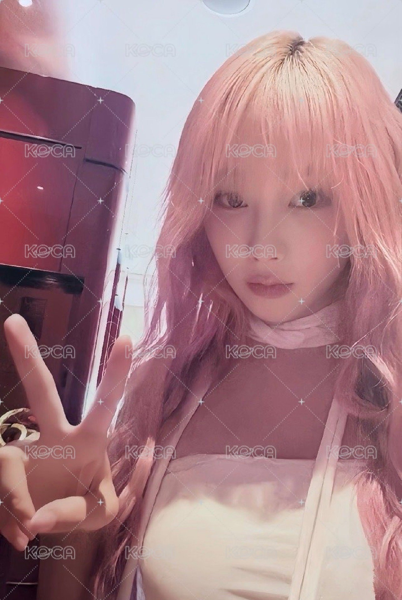 聖誕簽售梨