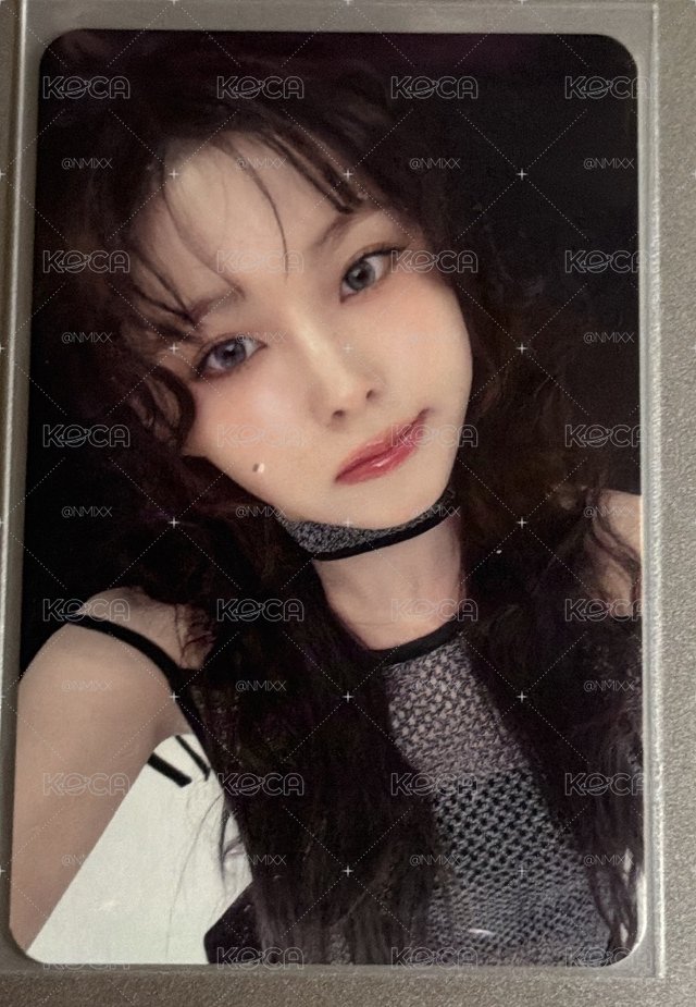 ms 奶油圭