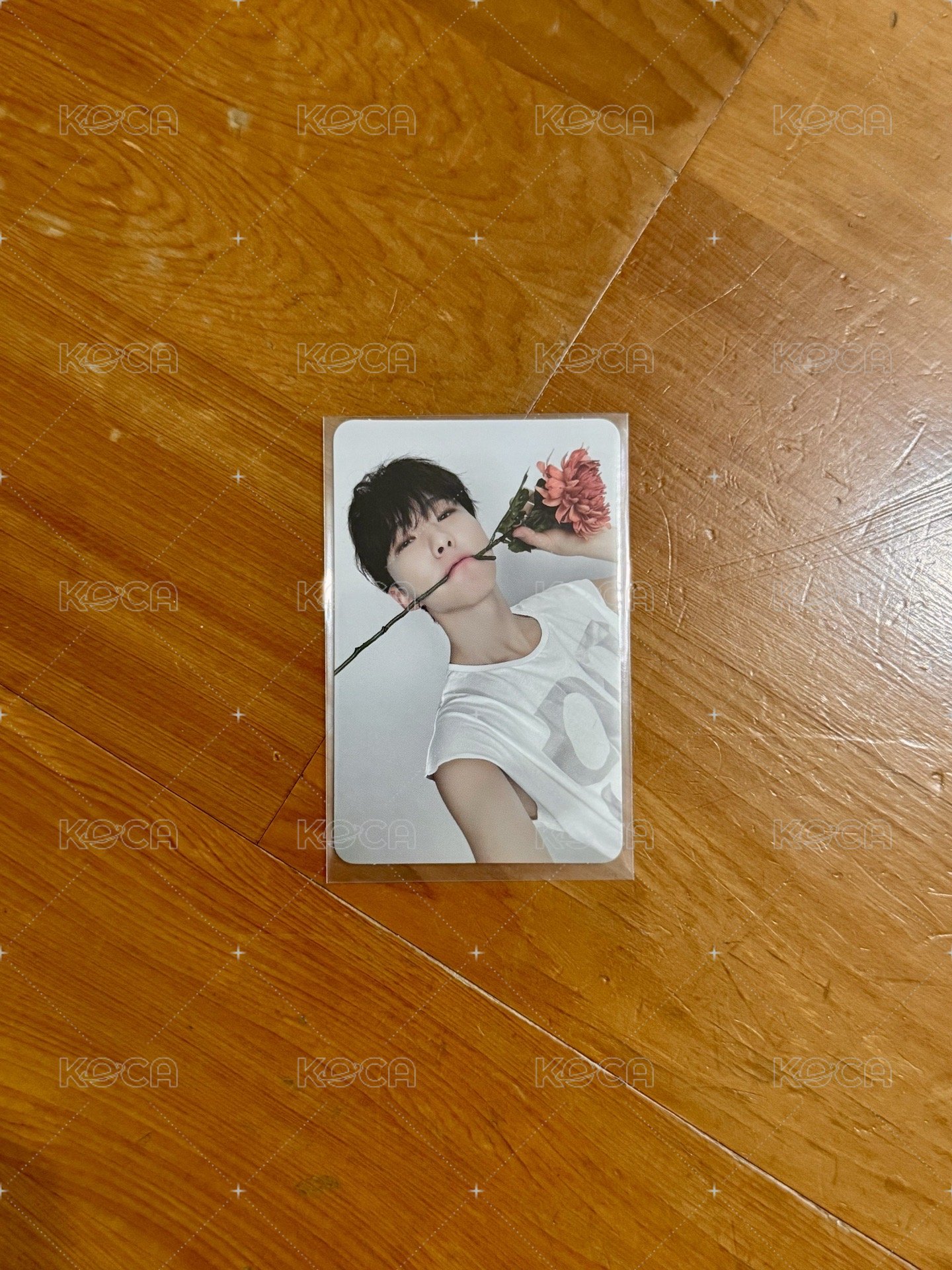 精選專 CARAT ver. 專輯卡1