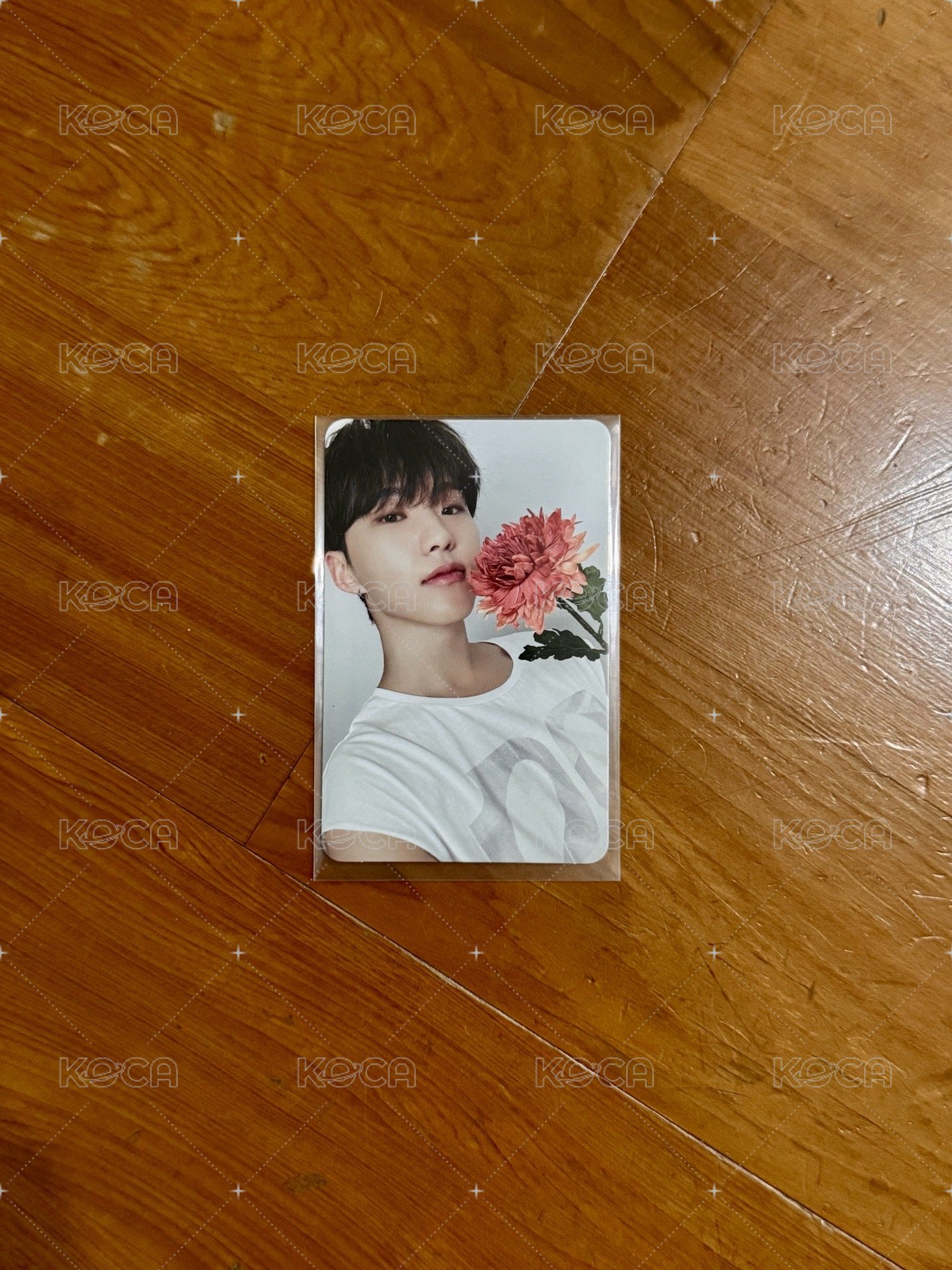 精選專 CARAT ver. 專輯卡2