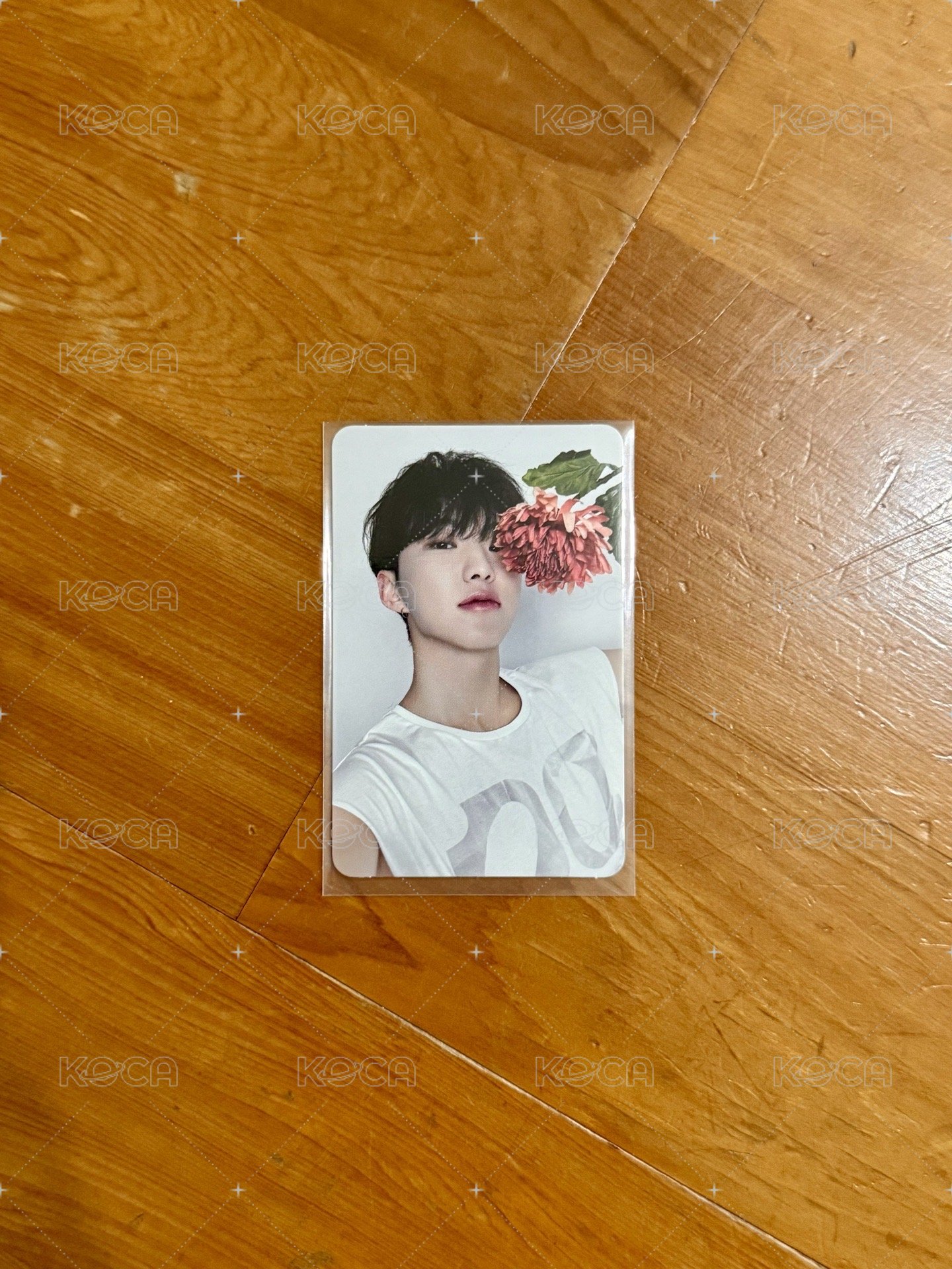 精選專 CARAT ver. 專輯卡3